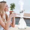 Ionic Facial Steamer - Skin Rejuvenation Tool