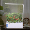 Grow Fresh Herbs Year-Round - Indoor Hydroponic Kit