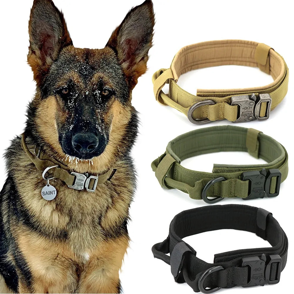 Premium Dog Collar - Durable & Comfortable Fit