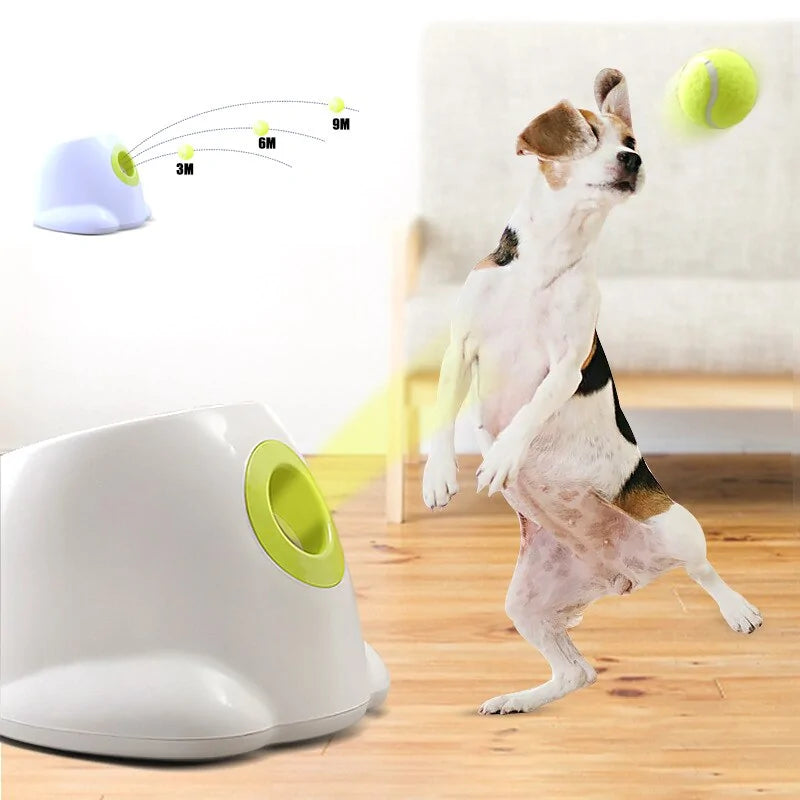 Interactive Dog Tennis Launcher - Fetch Game Reinvented