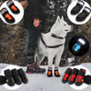 Waterproof Reflective Dog Boots - Innovative Interventions