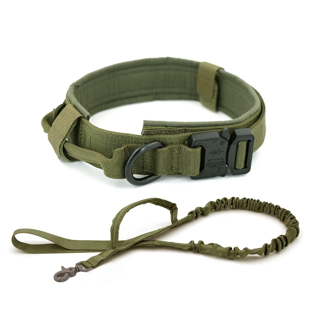 Premium Dog Collar - Durable & Comfortable Fit