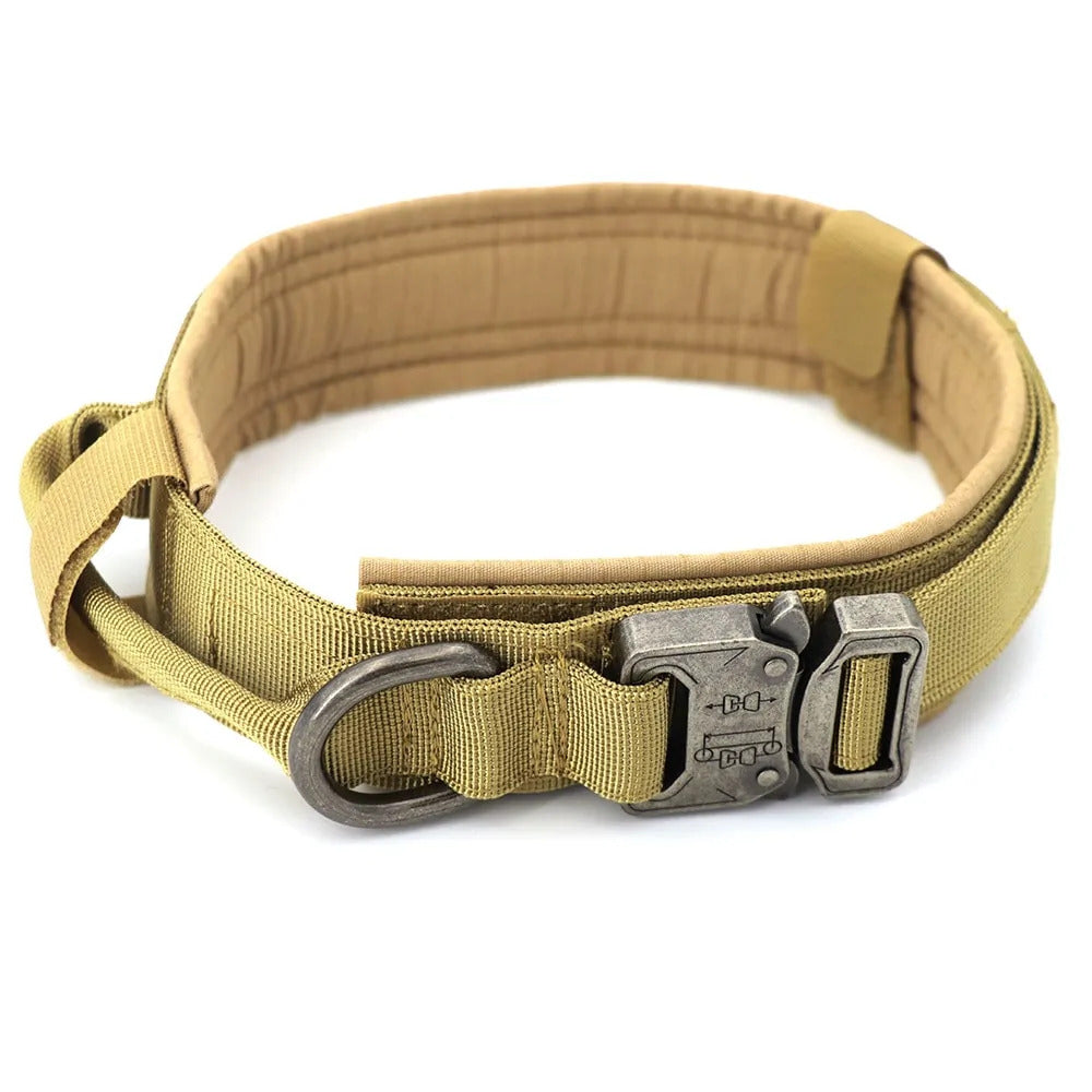 Dog Collar - Innovative Interventions