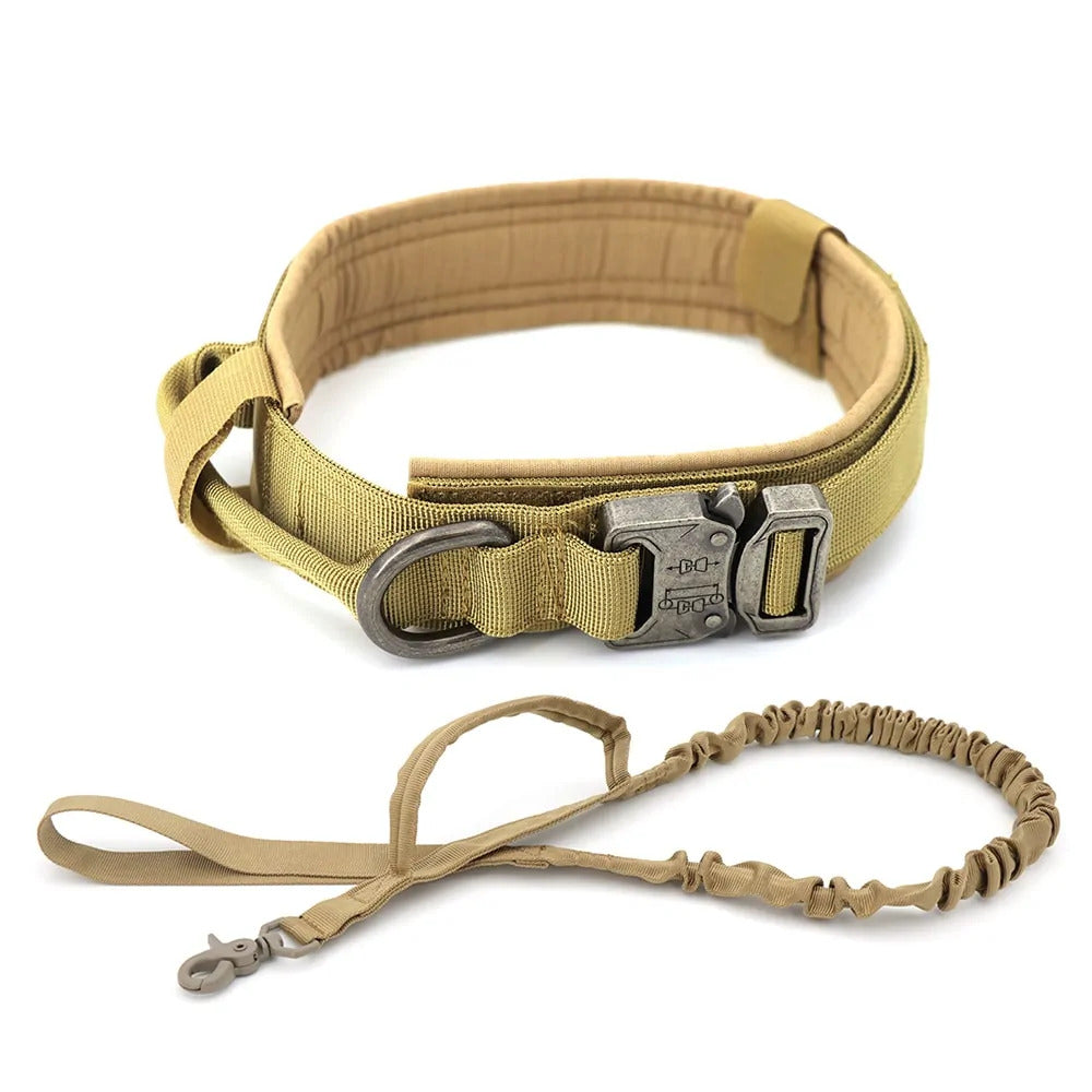 Premium Dog Collar - Durable & Comfortable Fit