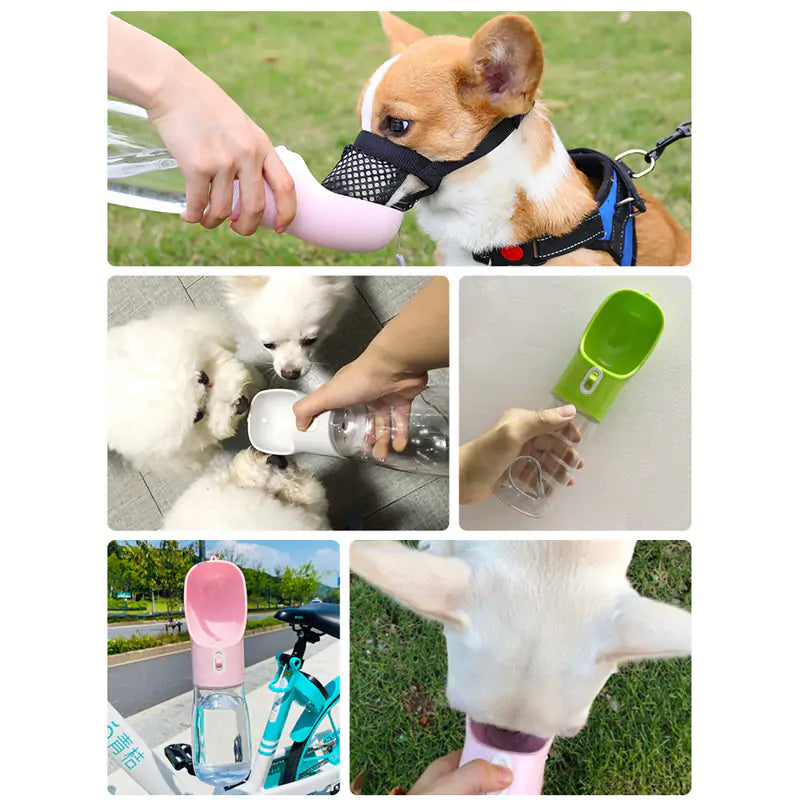 Pet Dog Water Bottle Feeder - Convenient Hydration