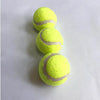 Interactive Dog Tennis Launcher - Fetch Game Reinvented